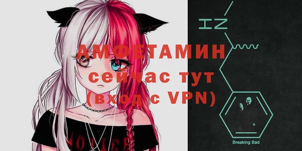прущие грибы Зеленокумск