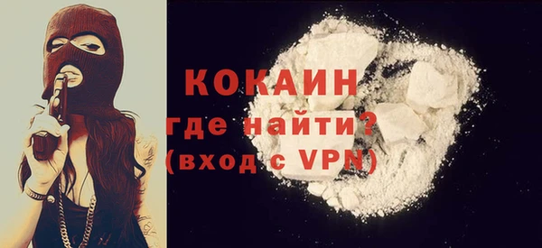 трава Коряжма