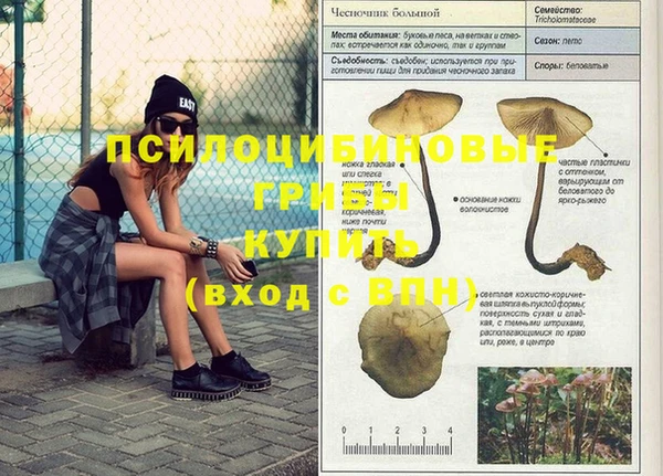 каннабис Белокуриха