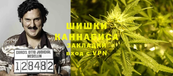прущая мука Инта