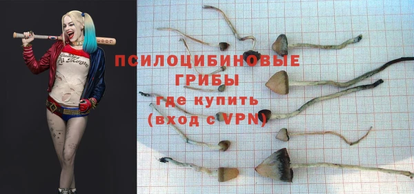 2c-b Иннополис
