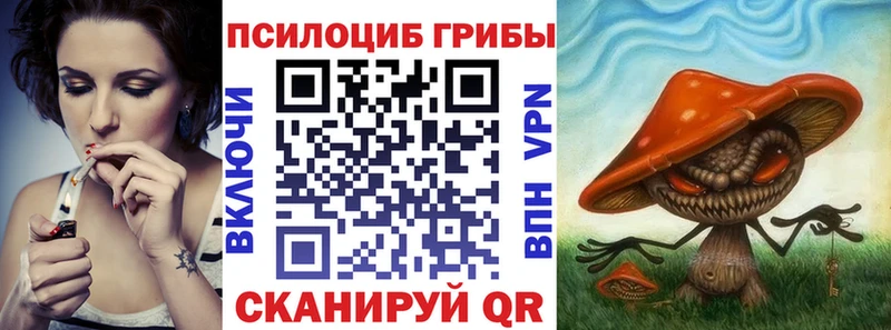 Псилоцибиновые грибы GOLDEN TEACHER Плёс